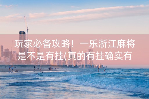 玩家必备攻略！一乐浙江麻将是不是有挂(真的有挂确实有挂)