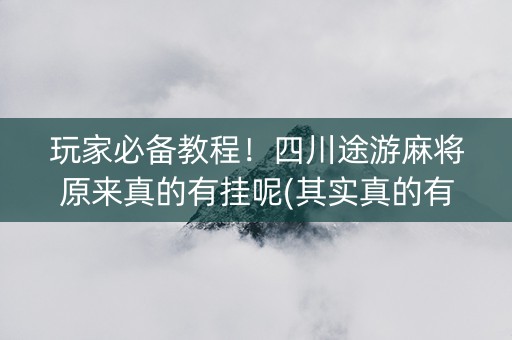 玩家必备教程！四川途游麻将原来真的有挂呢(其实真的有挂)