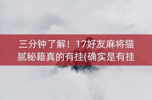 三分钟了解！17好友麻将猫腻秘籍真的有挂(确实是有挂的)