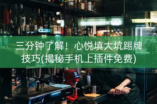 三分钟了解！心悦填大坑踢牌技巧(揭秘手机上插件免费)