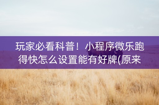 玩家必看科普！小程序微乐跑得快怎么设置能有好牌(原来真的有挂)