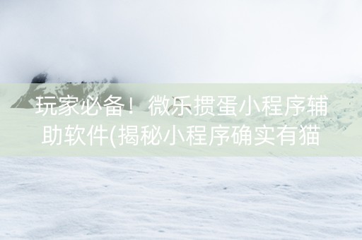 玩家必备！微乐掼蛋小程序辅助软件(揭秘小程序确实有猫腻)
