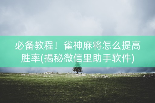 必备教程！雀神麻将怎么提高胜率(揭秘微信里助手软件)