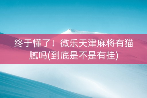 终于懂了！微乐天津麻将有猫腻吗(到底是不是有挂)