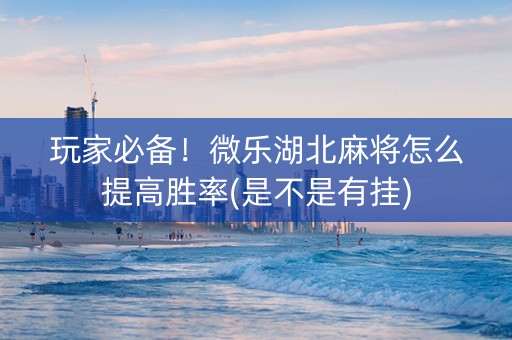 玩家必备！微乐湖北麻将怎么提高胜率(是不是有挂)