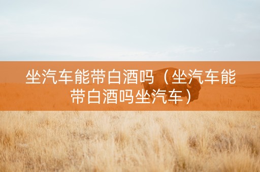 坐汽车能带白酒吗（坐汽车能带白酒吗坐汽车）