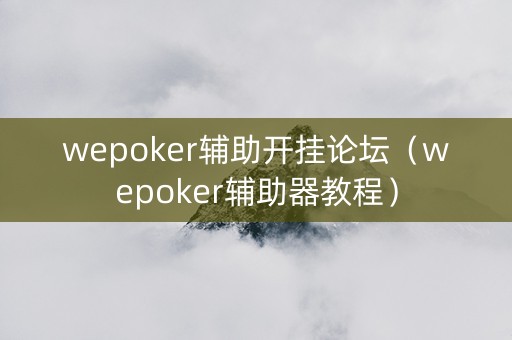 wepoker辅助开挂论坛（wepoker辅助器教程）