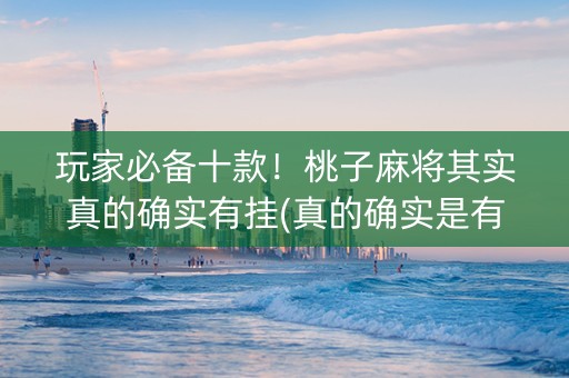玩家必备十款！桃子麻将其实真的确实有挂(真的确实是有挂)