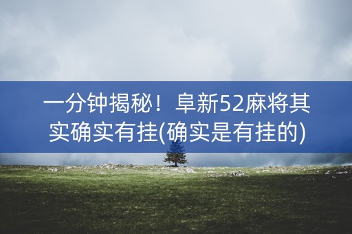 一分钟揭秘！阜新52麻将其实确实有挂(确实是有挂的)