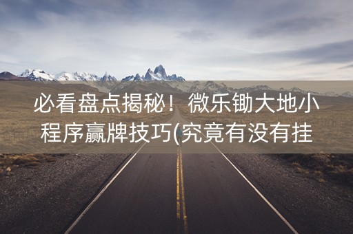 必看盘点揭秘！微乐锄大地小程序赢牌技巧(究竟有没有挂)