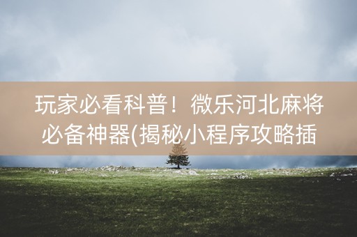 玩家必看科普！微乐河北麻将必备神器(揭秘小程序攻略插件)