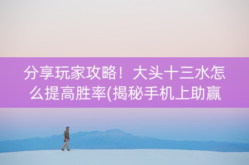 分享玩家攻略！大头十三水怎么提高胜率(揭秘手机上助赢软件)