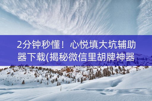 2分钟秒懂！心悦填大坑辅助器下载(揭秘微信里胡牌神器)