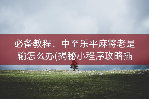 必备教程！中至乐平麻将老是输怎么办(揭秘小程序攻略插件)