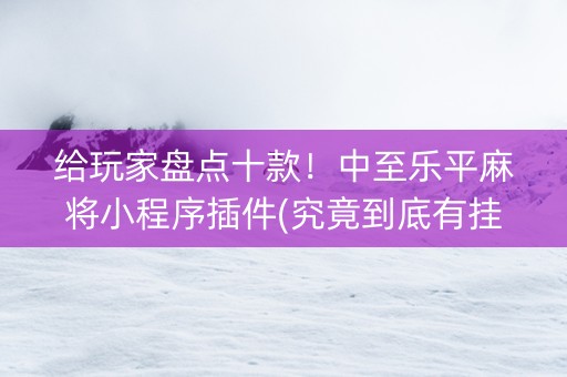 给玩家盘点十款！中至乐平麻将小程序插件(究竟到底有挂吗)