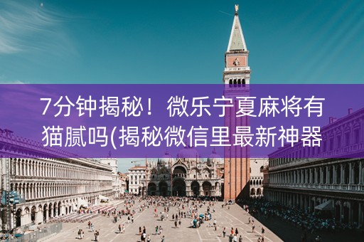 7分钟揭秘！微乐宁夏麻将有猫腻吗(揭秘微信里最新神器下载)