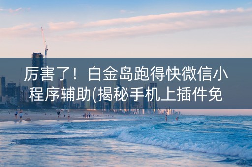 厉害了！白金岛跑得快微信小程序辅助(揭秘手机上插件免费)