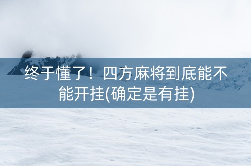 终于懂了！四方麻将到底能不能开挂(确定是有挂)