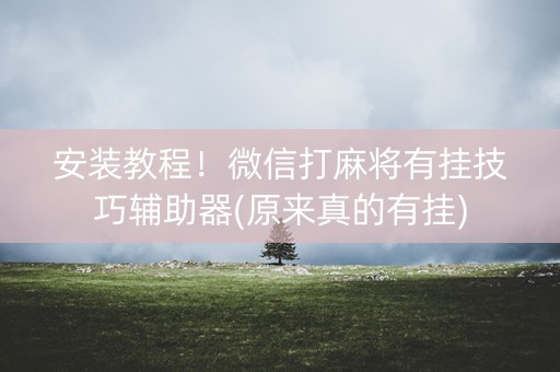 安装教程！微信打麻将有挂技巧辅助器(原来真的有挂)