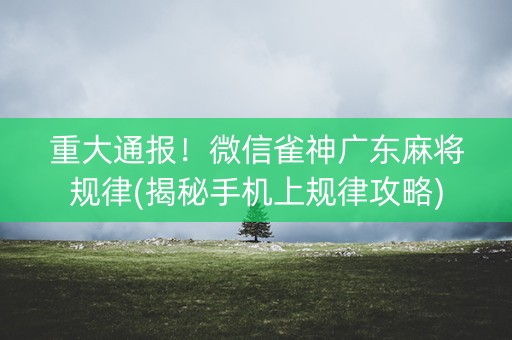 重大通报！微信雀神广东麻将规律(揭秘手机上规律攻略)