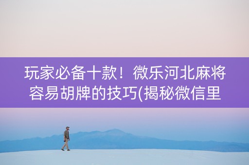 玩家必备十款！微乐河北麻将容易胡牌的技巧(揭秘微信里最新神器下载)