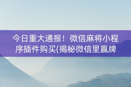 今日重大通报！微信麻将小程序插件购买(揭秘微信里赢牌的技巧)