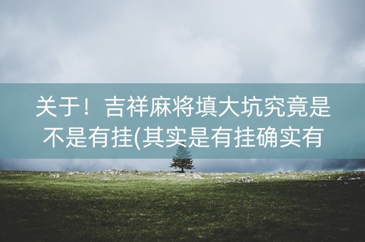 关于！吉祥麻将填大坑究竟是不是有挂(其实是有挂确实有挂)