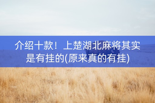 介绍十款！上楚湖北麻将其实是有挂的(原来真的有挂)
