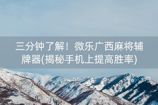 三分钟了解！微乐广西麻将辅牌器(揭秘手机上提高胜率)