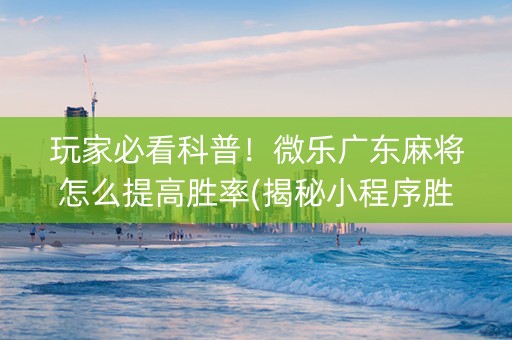 玩家必看科普！微乐广东麻将怎么提高胜率(揭秘小程序胜率到哪调)