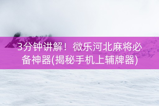 3分钟讲解！微乐河北麻将必备神器(揭秘手机上辅牌器)