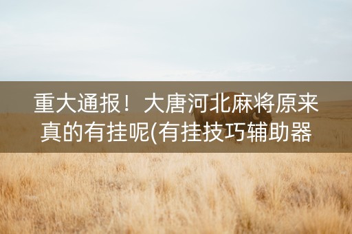 重大通报！大唐河北麻将原来真的有挂呢(有挂技巧辅助器)