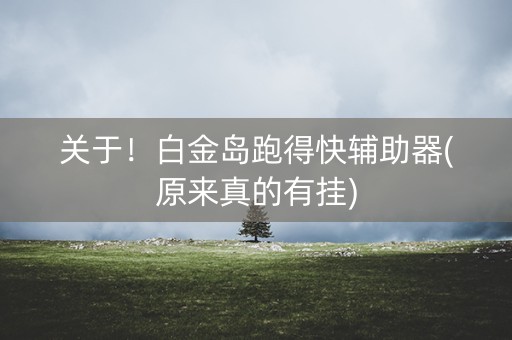 关于！白金岛跑得快辅助器(原来真的有挂)