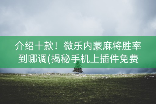 介绍十款！微乐内蒙麻将胜率到哪调(揭秘手机上插件免费)