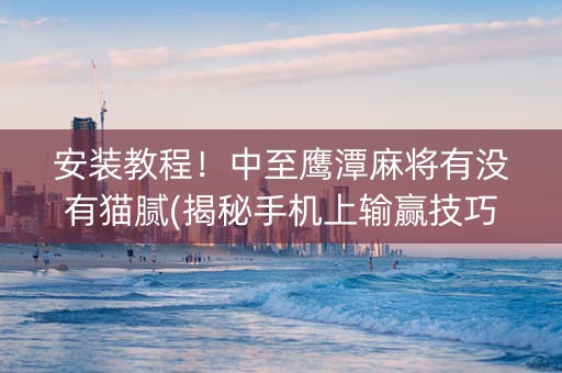 安装教程！中至鹰潭麻将有没有猫腻(揭秘手机上输赢技巧)