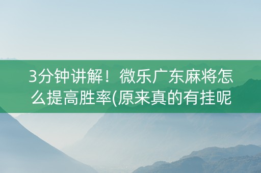 3分钟讲解！微乐广东麻将怎么提高胜率(原来真的有挂呢)