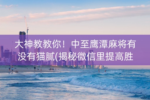 大神教教你！中至鹰潭麻将有没有猫腻(揭秘微信里提高胜率)