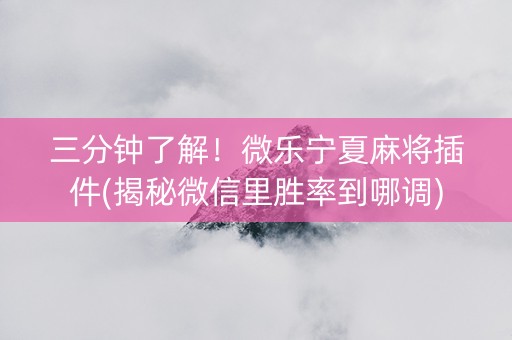 三分钟了解！微乐宁夏麻将插件(揭秘微信里胜率到哪调)
