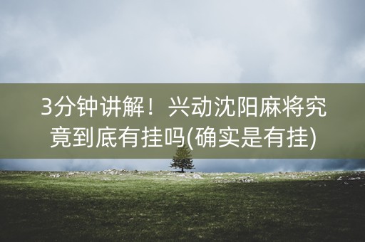 3分钟讲解！兴动沈阳麻将究竟到底有挂吗(确实是有挂)
