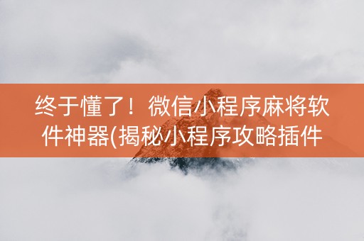 终于懂了！微信小程序麻将软件神器(揭秘小程序攻略插件)