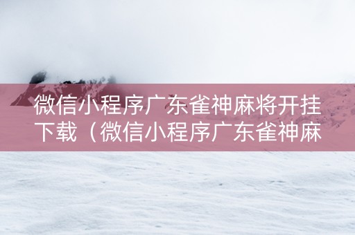 微信小程序广东雀神麻将开挂下载（微信小程序广东雀神麻将插件）
