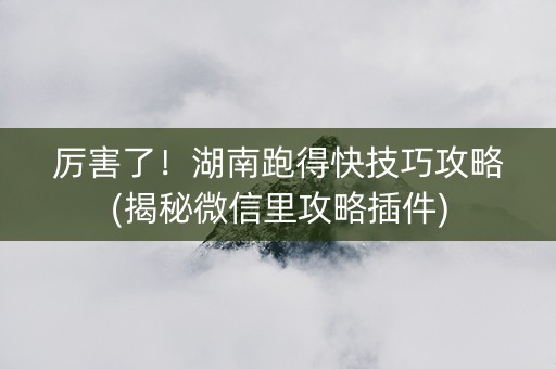 厉害了！湖南跑得快技巧攻略(揭秘微信里攻略插件)