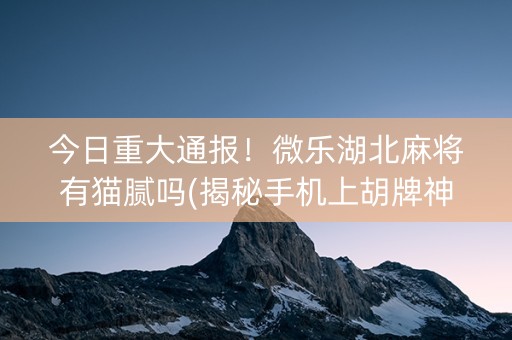 今日重大通报！微乐湖北麻将有猫腻吗(揭秘手机上胡牌神器)