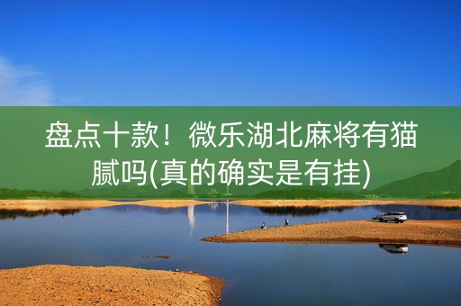 盘点十款！微乐湖北麻将有猫腻吗(真的确实是有挂)