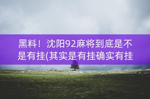 黑料！沈阳92麻将到底是不是有挂(其实是有挂确实有挂)