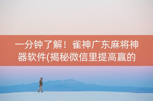 一分钟了解！雀神广东麻将神器软件(揭秘微信里提高赢的概率)