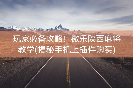 玩家必备攻略！微乐陕西麻将教学(揭秘手机上插件购买)