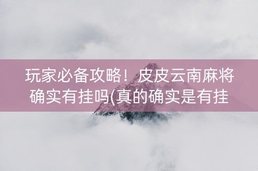 玩家必备攻略！皮皮云南麻将确实有挂吗(真的确实是有挂)