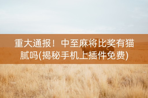 重大通报！中至麻将比奖有猫腻吗(揭秘手机上插件免费)