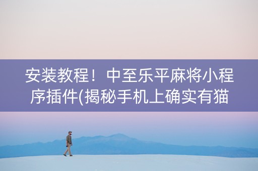 安装教程！中至乐平麻将小程序插件(揭秘手机上确实有猫腻)